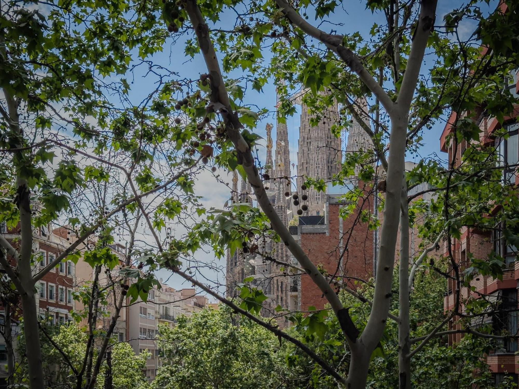 U-nique Gaudi I Appartement Barcelona